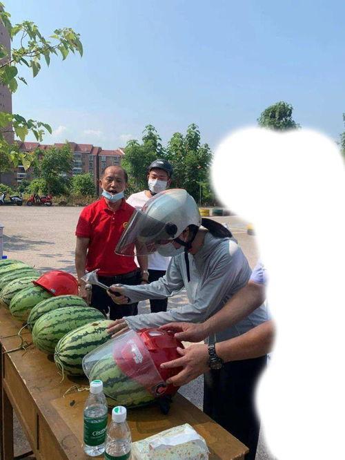 建始吃瓜事件,一场引发社会热议的“瓜农维权”风波