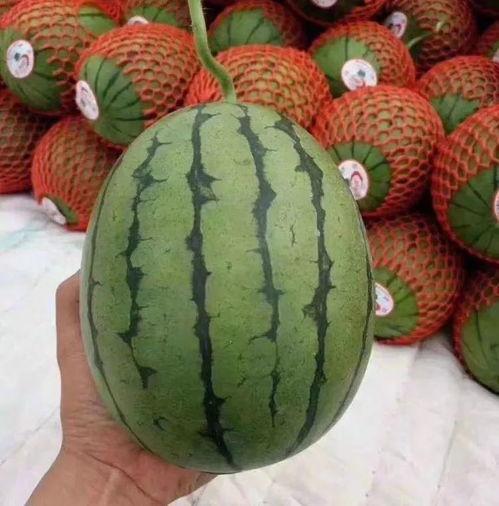 袁袁老师吃瓜,揭秘娱乐圈幕后故事