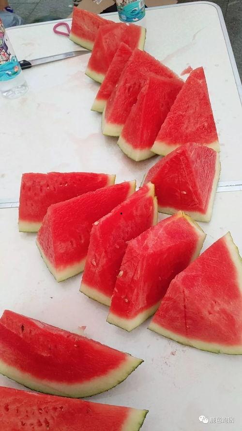 他们都在疯狂的吃瓜,全民热议的疯狂吃瓜盛宴