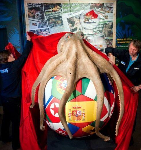 世界杯吃瓜文案,盘点那些年我们一起“瓜”过的精彩瞬间