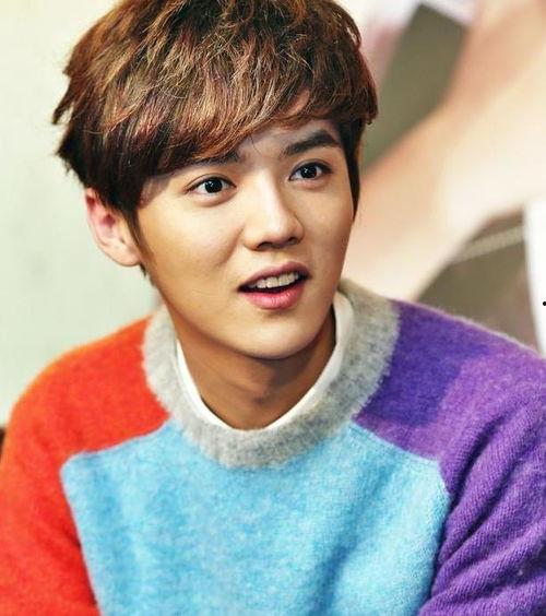 吃瓜小熊鹿晗视频,萌态尽显，趣味横生