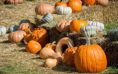 吃瓜一整晚,揭秘娱乐圈深夜秘密