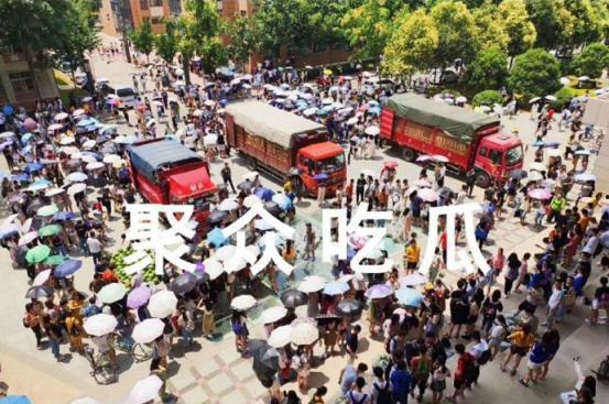 甘肃高校吃瓜事件,校园风波背后的真相与反思