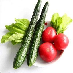 金乡小绿吃瓜,瓜田里的欢乐时光