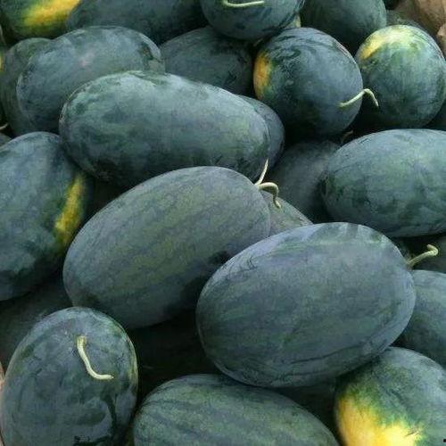 看瓜咋们吃,揭秘网络热传瓜子的魅力与吃法