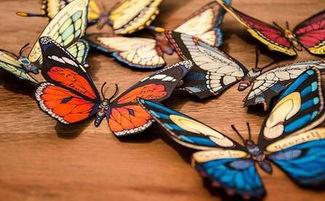 蝴蝶效应吃瓜,微小的瓜籽如何引发吃瓜风暴