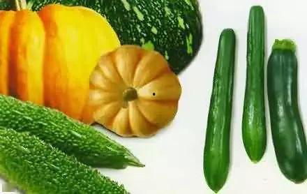 沙洲吃瓜,揭秘民间趣事，品味生活百态