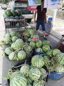 安顺吃瓜事件视频最新,一场网络热议背后的真相揭秘