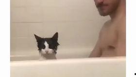 阿蒲吃的瓜,阿蒲的瓜界探险记