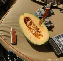 咋画吃瓜人,揭秘娱乐圈的甜蜜与苦涩