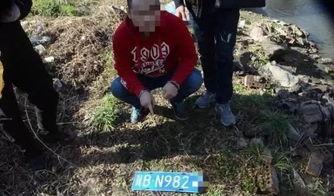 凉山女生拿刀吃瓜事件,校园安全与教育反思