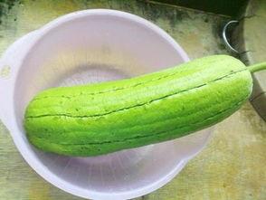 清朝吃瓜后续,宫廷秘闻与民间趣谈的交织